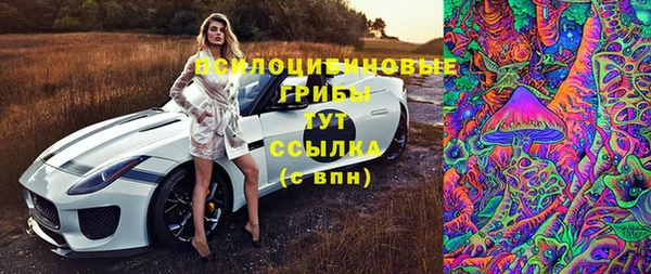 гидропоника Нея