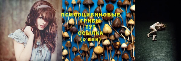 гидропоника Нея